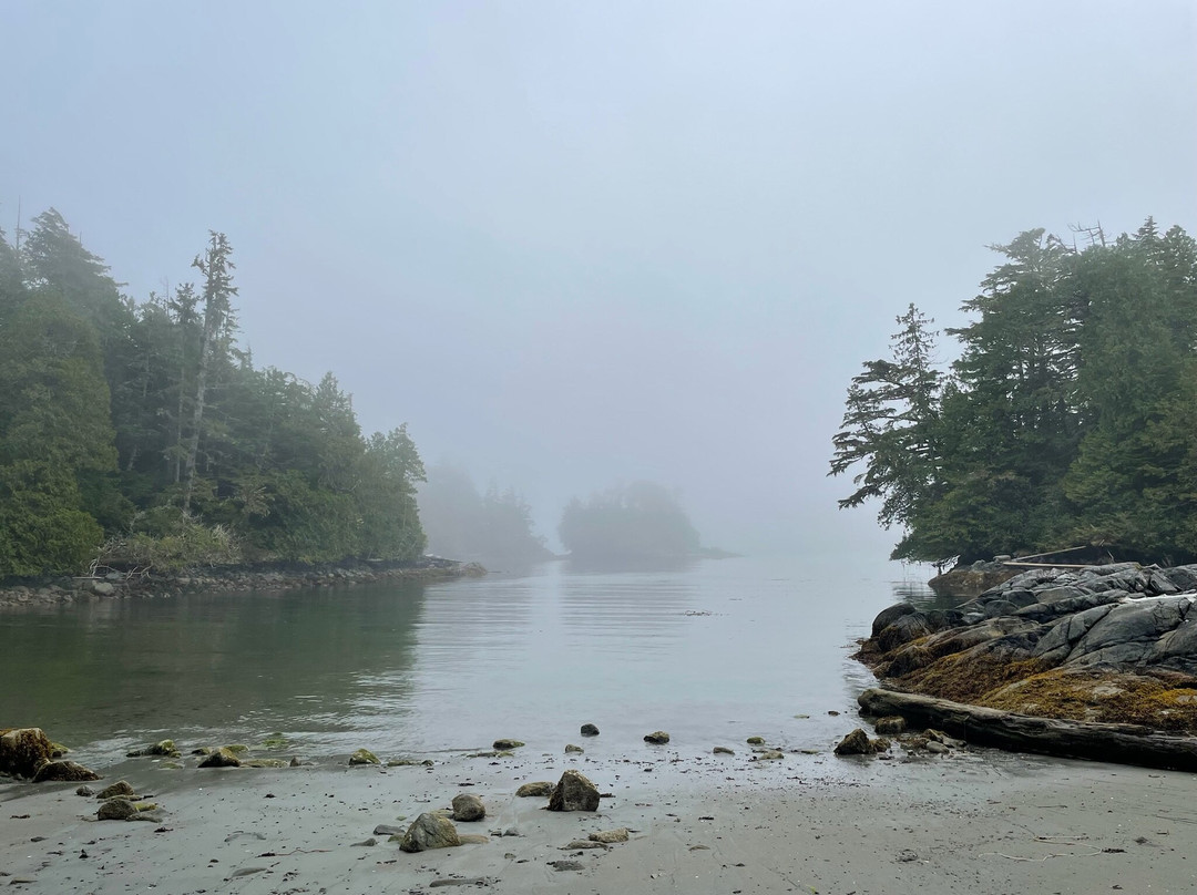 Coastal Bliss Adventures - Day Tours-Cowichan Bay必去景点