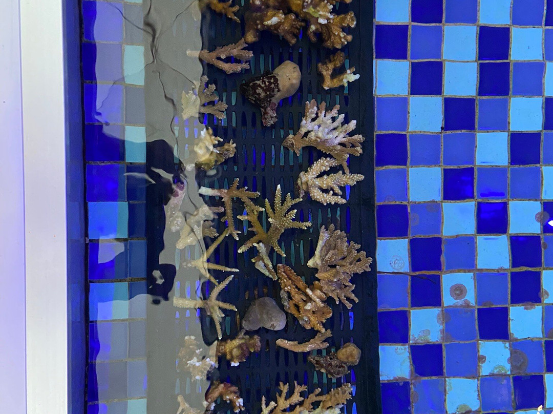 Perhentian Islands-Perhentian Islands必去景点