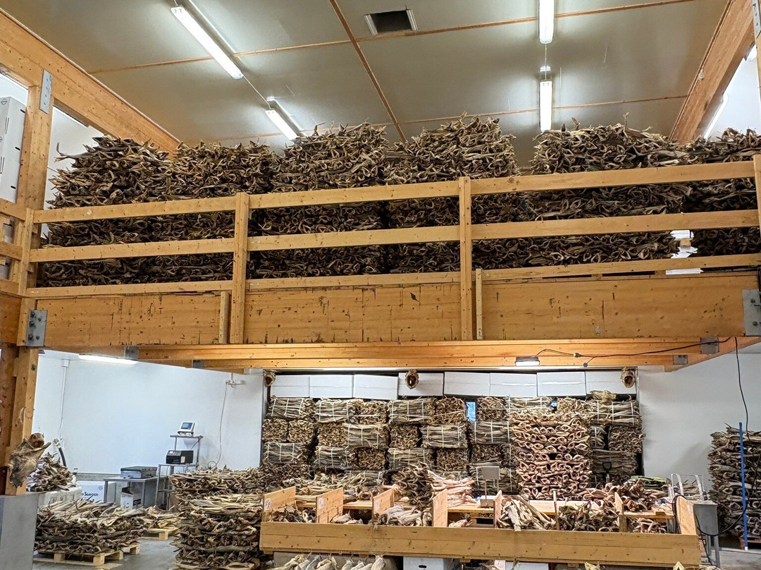 Lofoten Seafood Center-莱克内斯必去景点