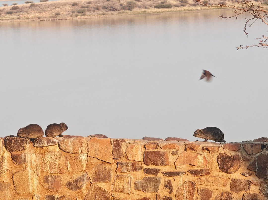 Hardap Dam-马林塔尔必去景点