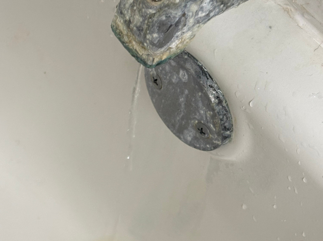 Best Western Richmond Hotel主图