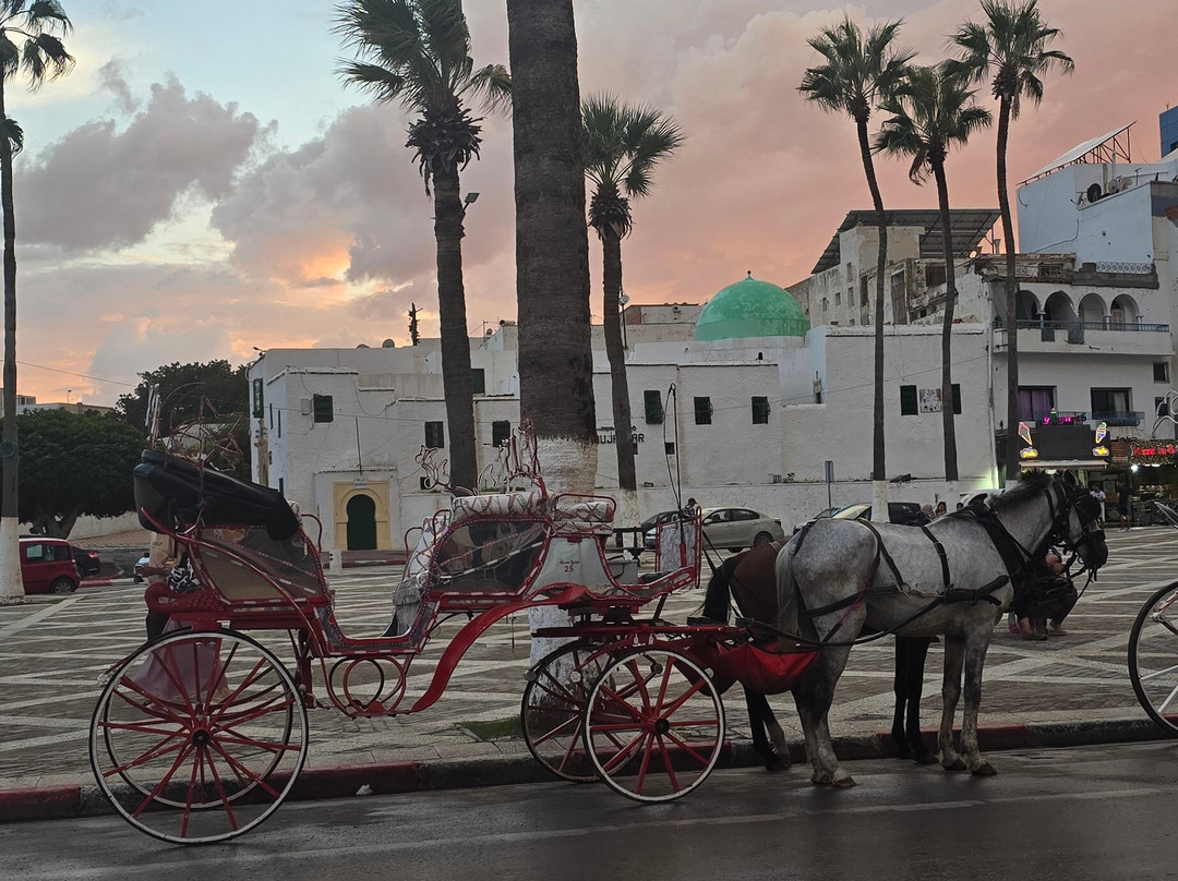 Noddy Train-康大维港必去景点