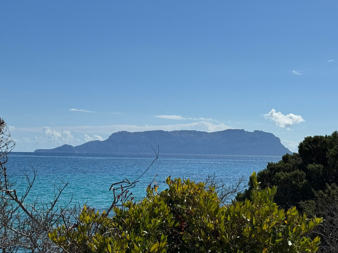 Spiaggia di Terrata Golfo Aranci