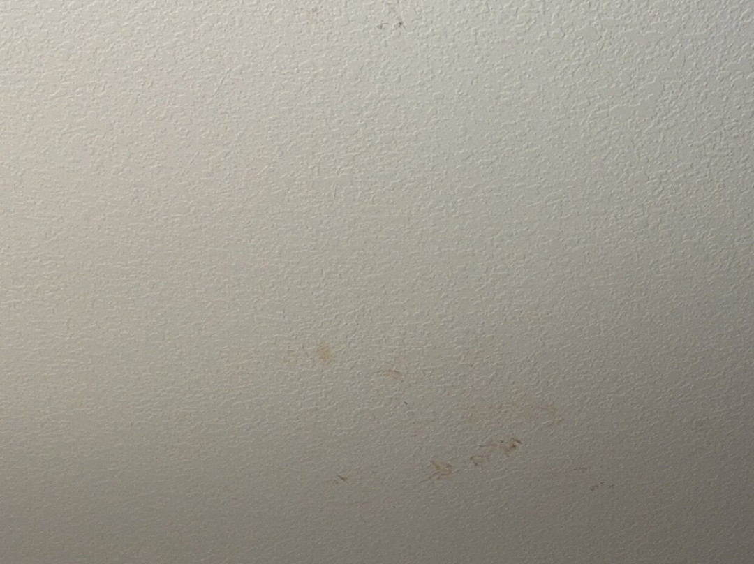 Comfort Suites主图