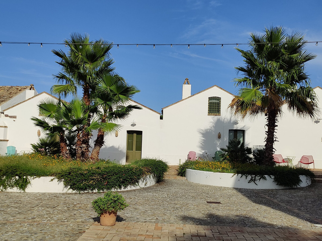 马塞里亚托雷菲奥雷酒店主图