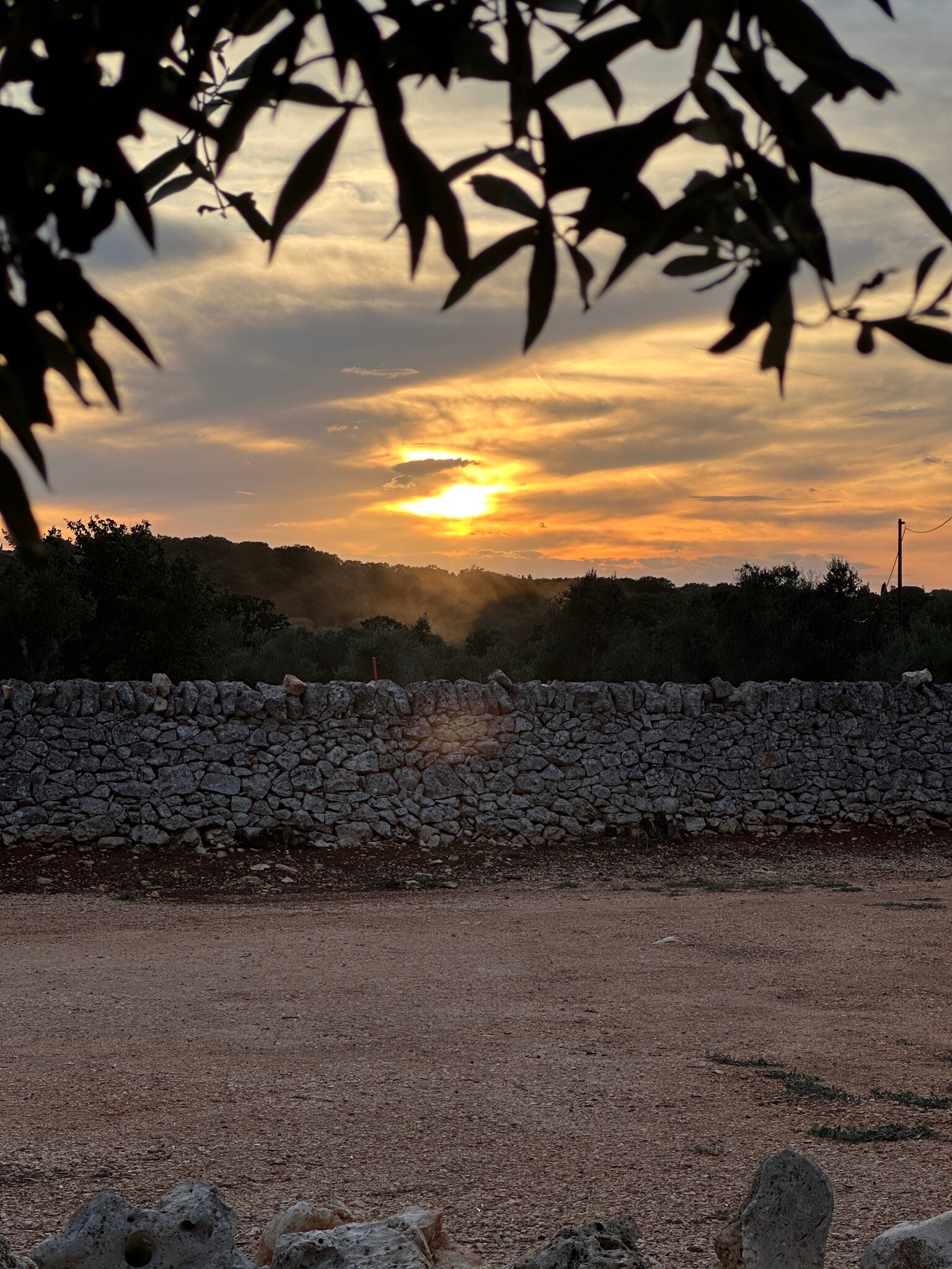 Masseria Camarda-官方