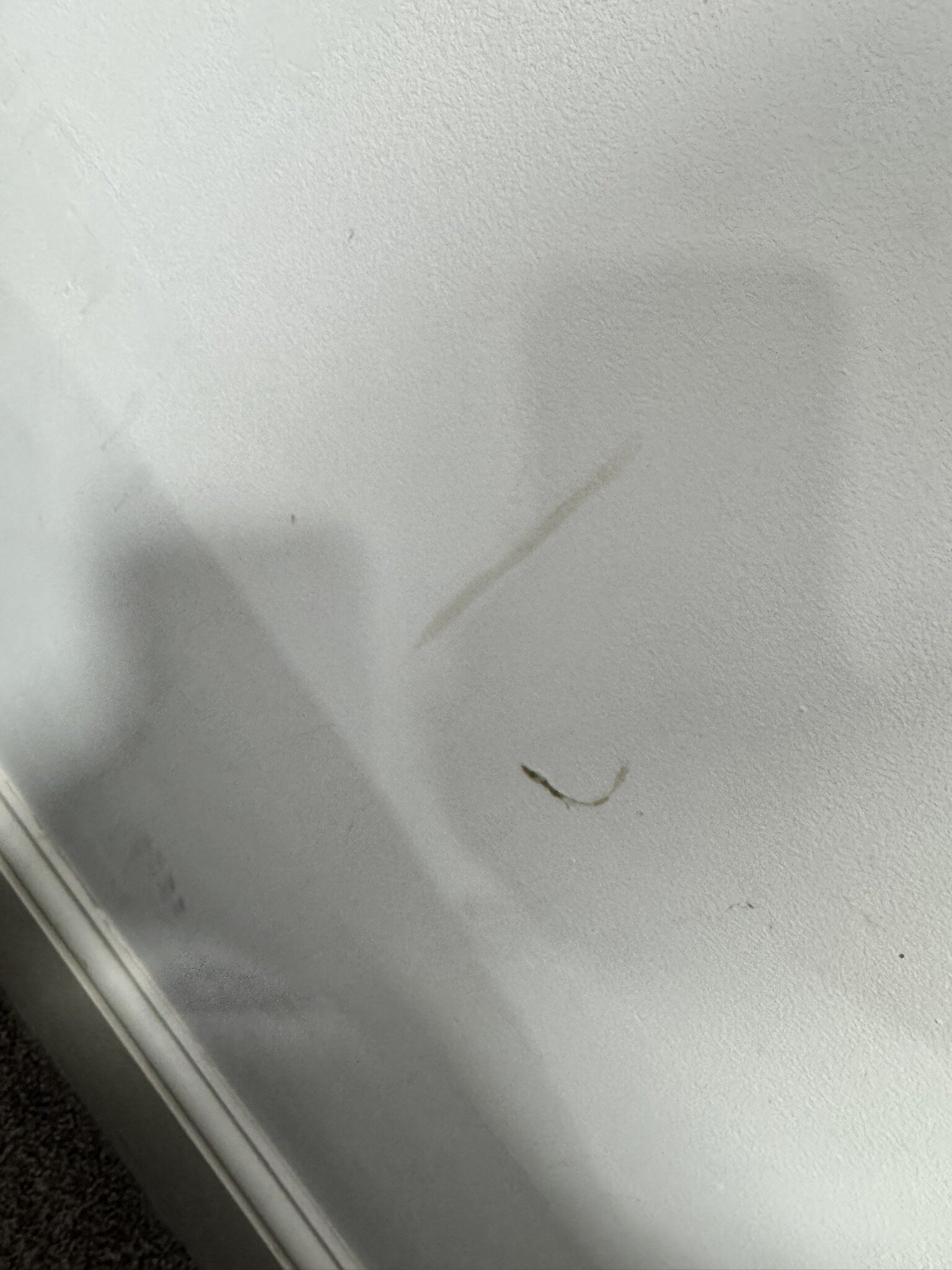 The Charles Hotel-官方