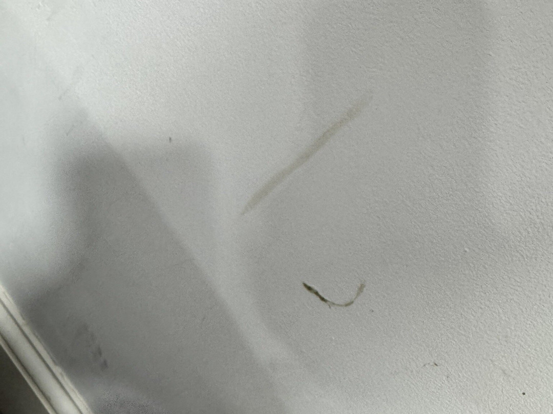 The Charles Hotel主图