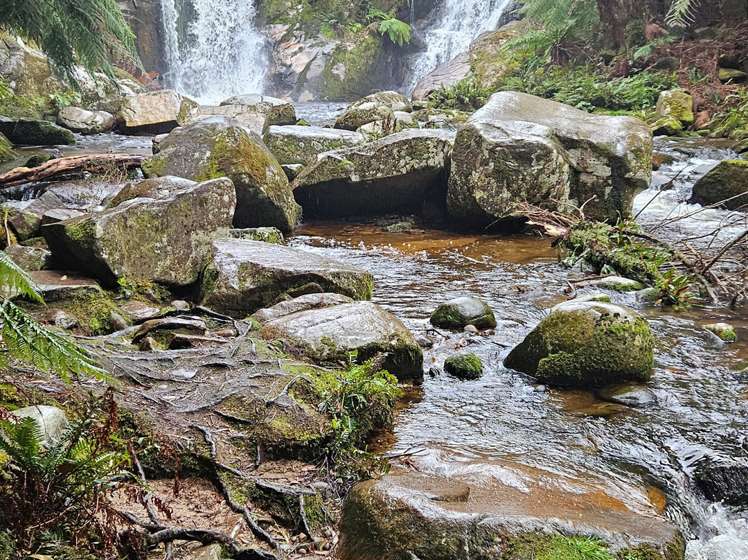 Halls Falls-Pyengana必去景点