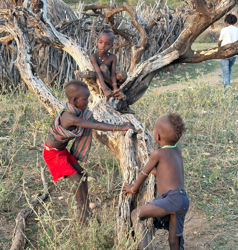 泰迪锡安埃塞俄比亚探险旅游-默克莱必去景点