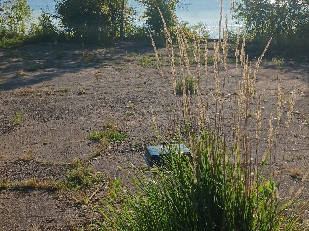 LivINN Hotel St. Paul – I-94 – East 3M Area主图