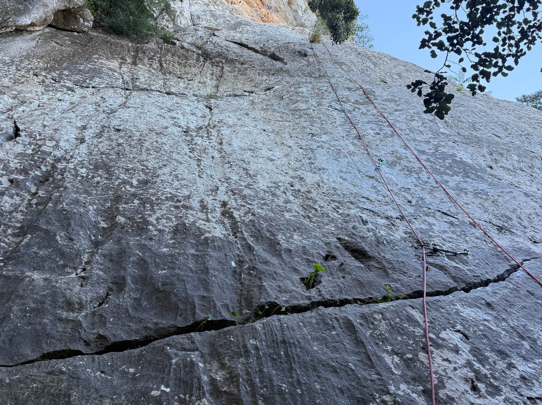 Rock and Water Mallorca-柳奇马约尔必去景点