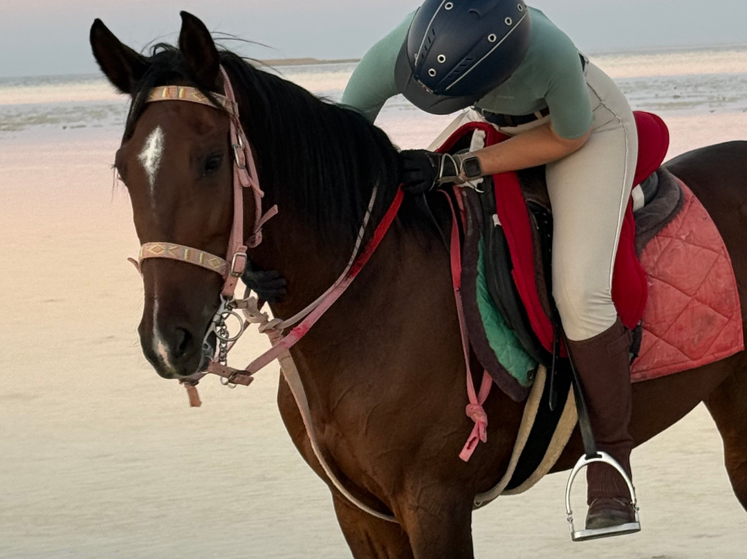 Desert Dreams-卢克索必去景点