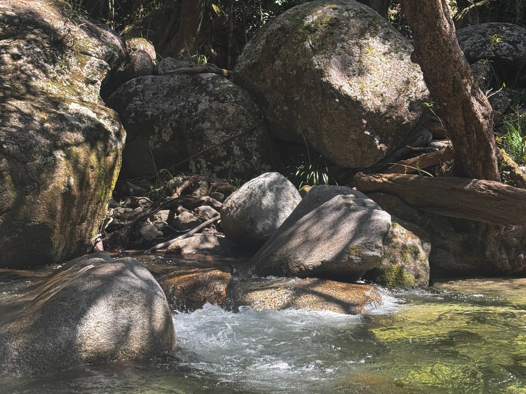 North West Outback Safaris-凯恩斯必去景点