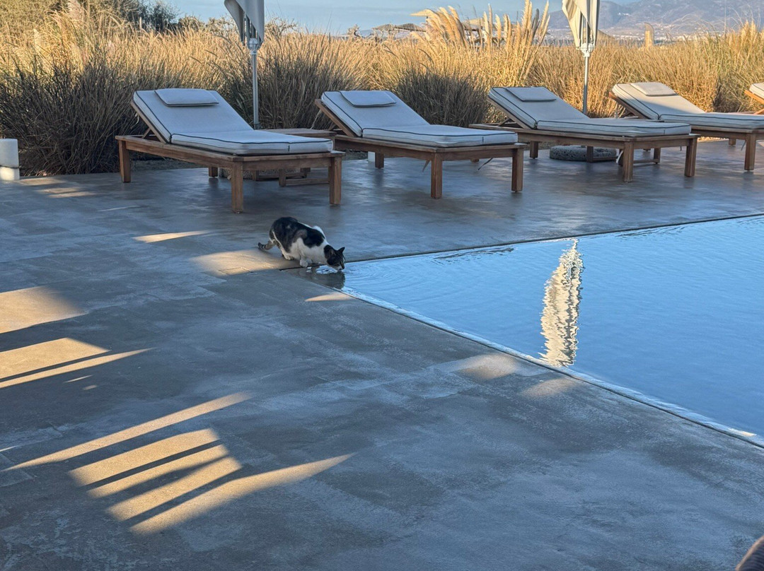 Ammothines Cycladic Suites主图