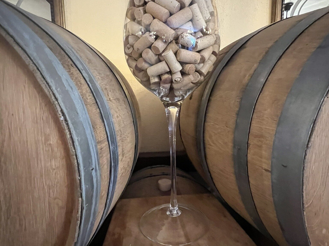 Edivo Wine Bar-Drace必去景点