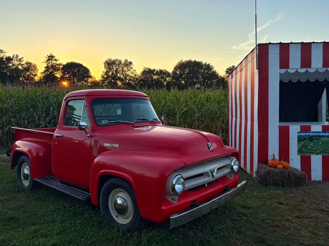 Mike's Maze-Sunderland必去景点
