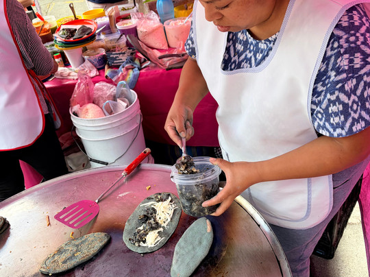 Bikes and Munchies-墨西哥城必去景点