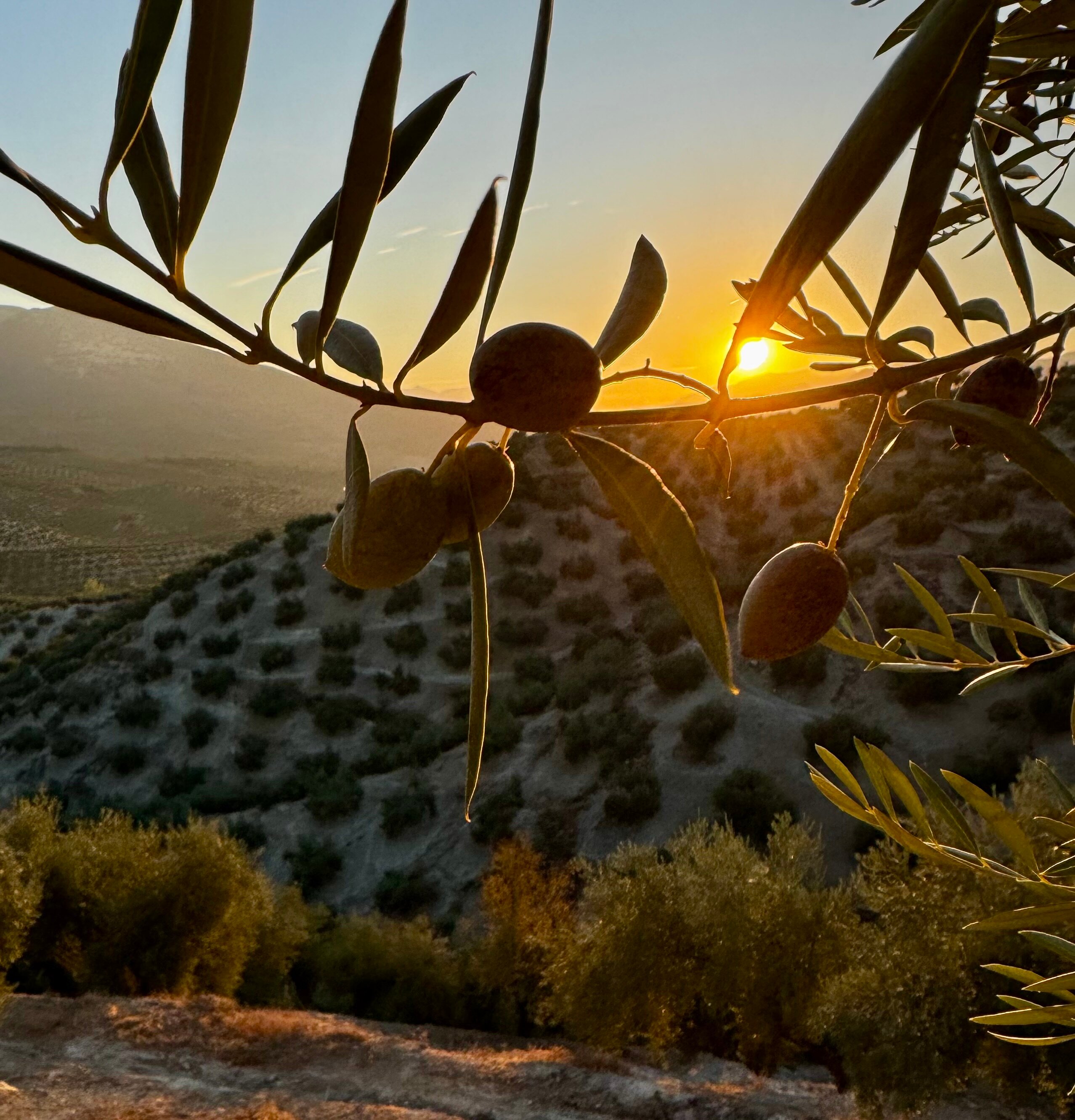 Casa el Castano-浴室