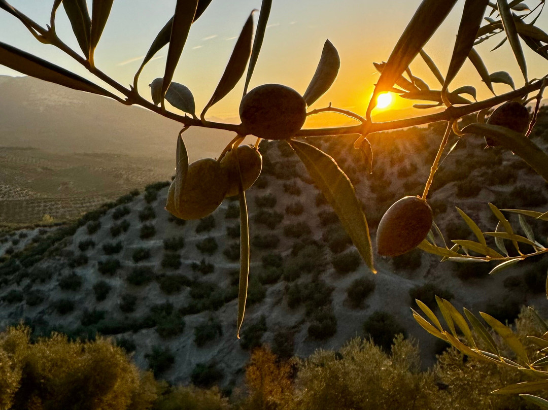 Casa el Castano主图