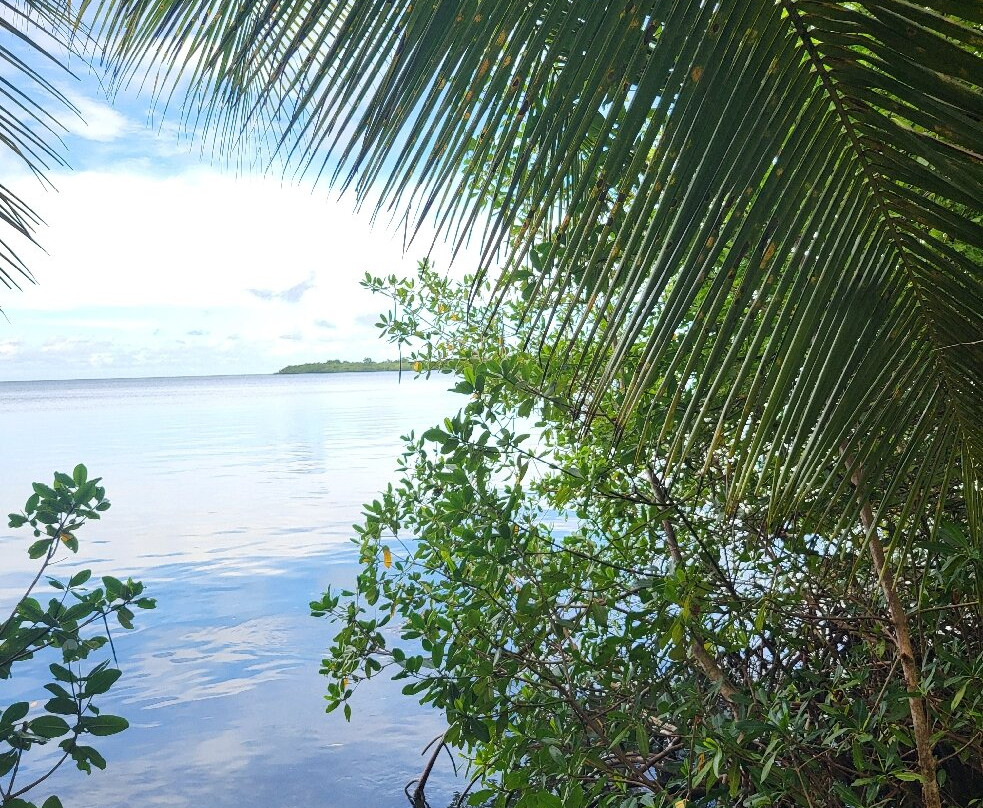 Plage de Babin-Morne-A-l'Eau必去景点