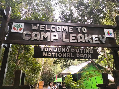 Tanjung Puting Open Trip-Pangkalan Bun必去景点