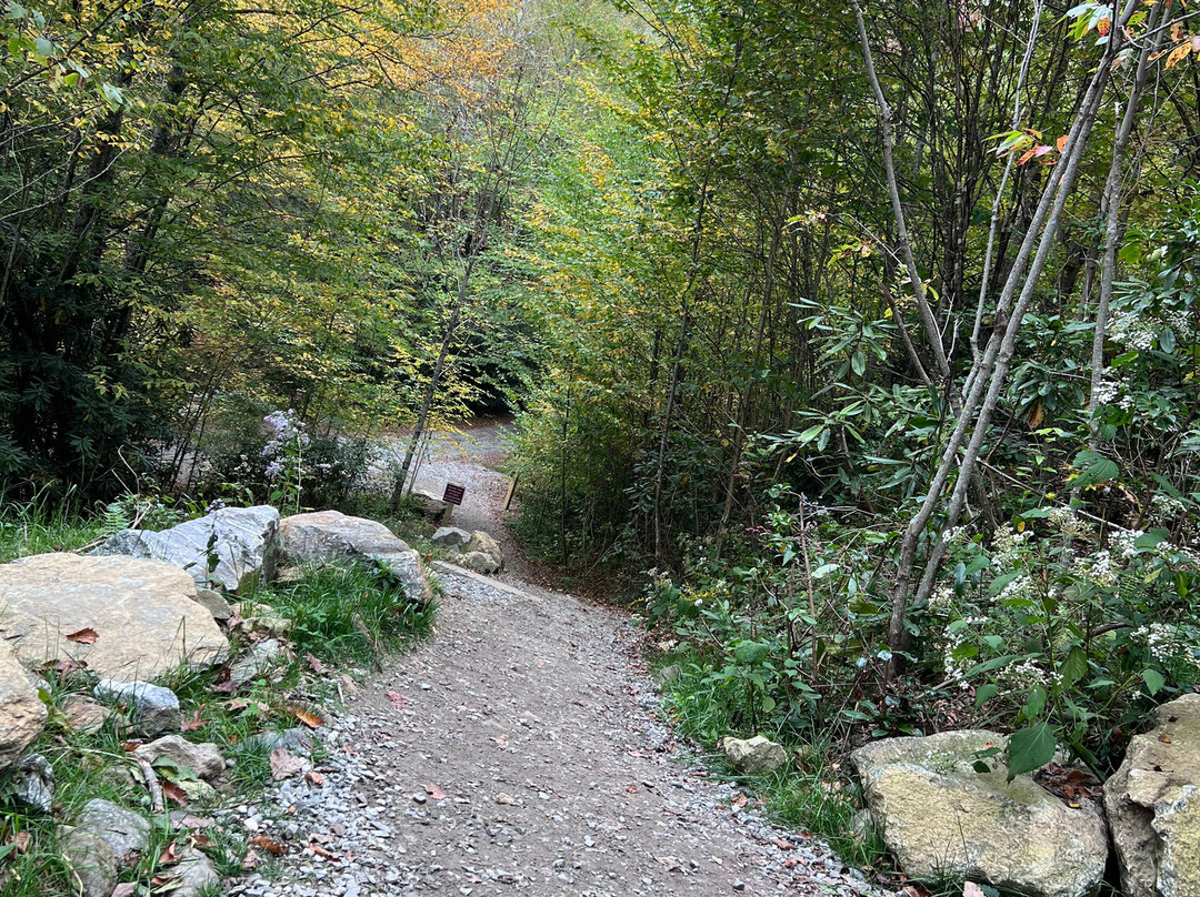 Soco Falls-Maggie Valley必去景点