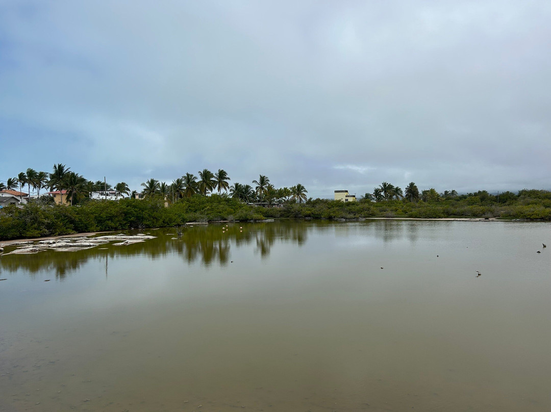 Laguna Salinas-维里亚米尔港必去景点