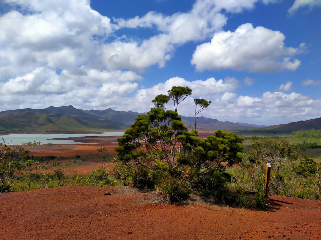 Toutazimut-努美阿必去景点