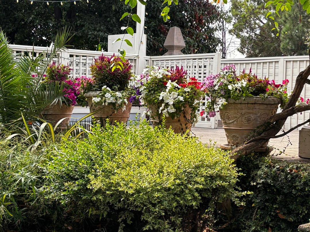 Preservation Park-奥克兰必去景点