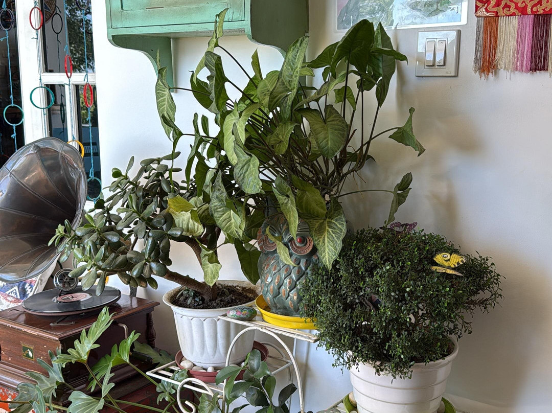 The Himaal, Bir主图