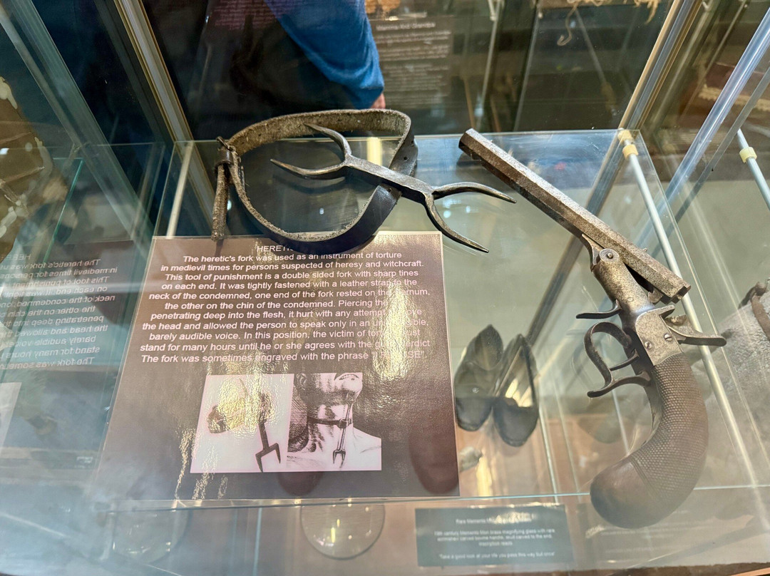 The Museum Of Curiosities-诺丁汉必去景点