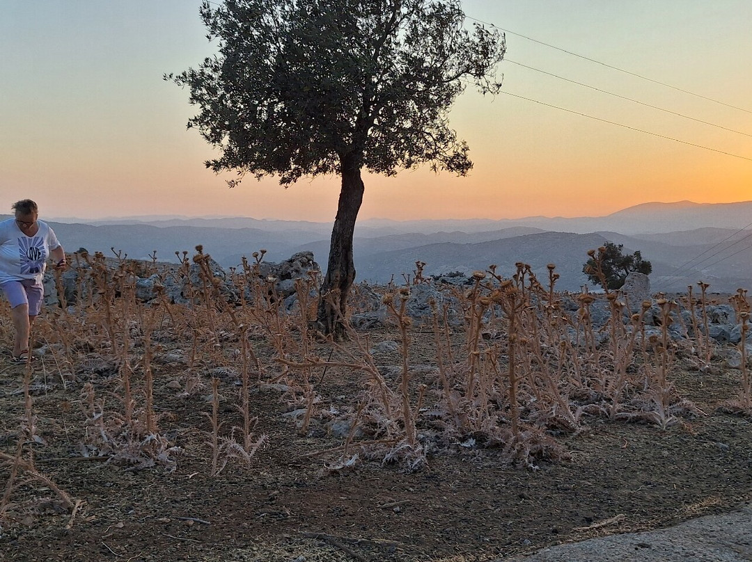 J&D Rent a Car-罗德城必去景点