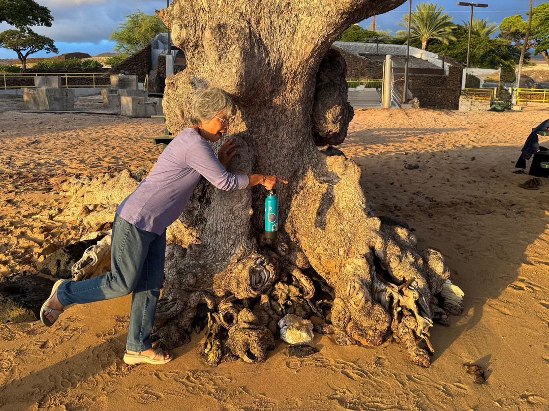 斯宾塞海滨公园-卡慕也拉必去景点