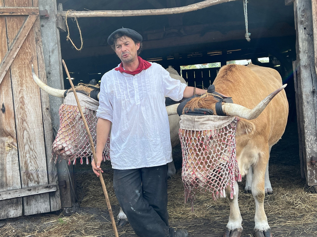 Écomusée De Marquèze-Sabres必去景点