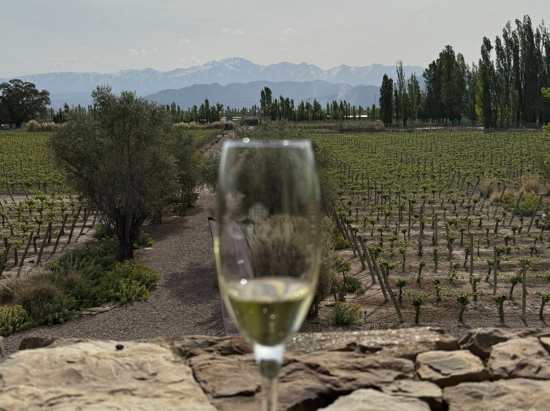 Bodega Cruzat. Bubbles Experience-路冉得库约必去景点