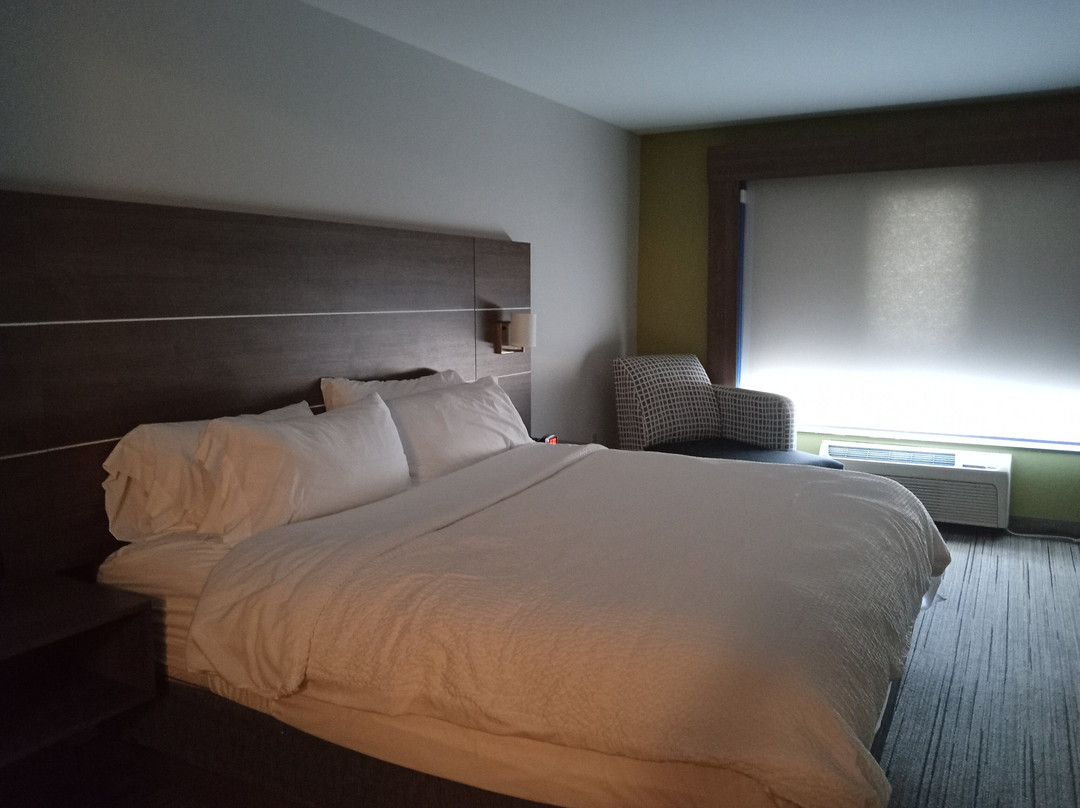 罗谢尔智选假日酒店主图