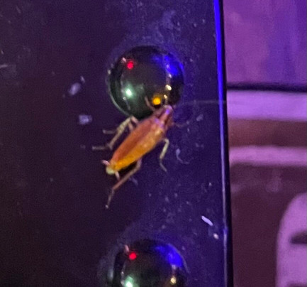 Sunset Inn & Suites主图