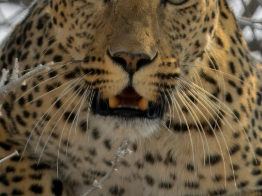 Gazechase Travels-温德和克必去景点