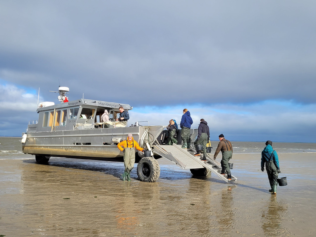 Turfaergen Mandopigen-Mandoe必去景点