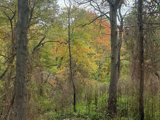 Witchwood Tours-塞勒姆必去景点