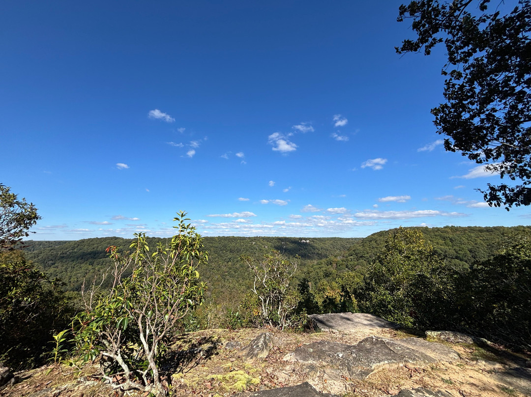Bigfoot Adventure TN-Tracy City必去景点