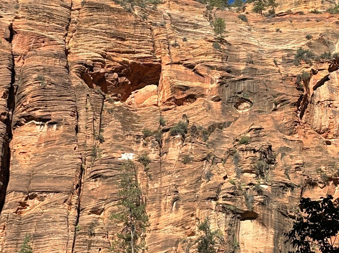 Grand Canyon Guru-Grand Canyon Village必去景点