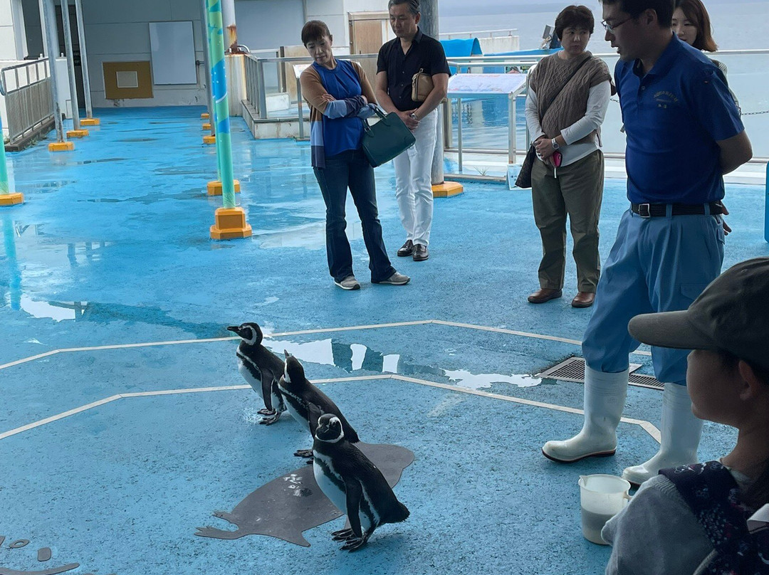 Notojima Aquarium-七尾市必去景点