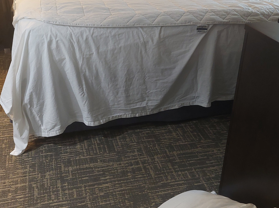 Homewood Suites by Hilton Memphis-Germantown主图