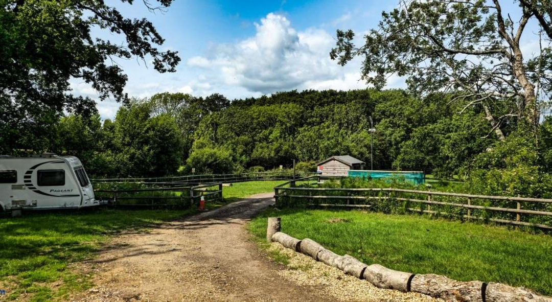 Springfield Oaks Campsite
