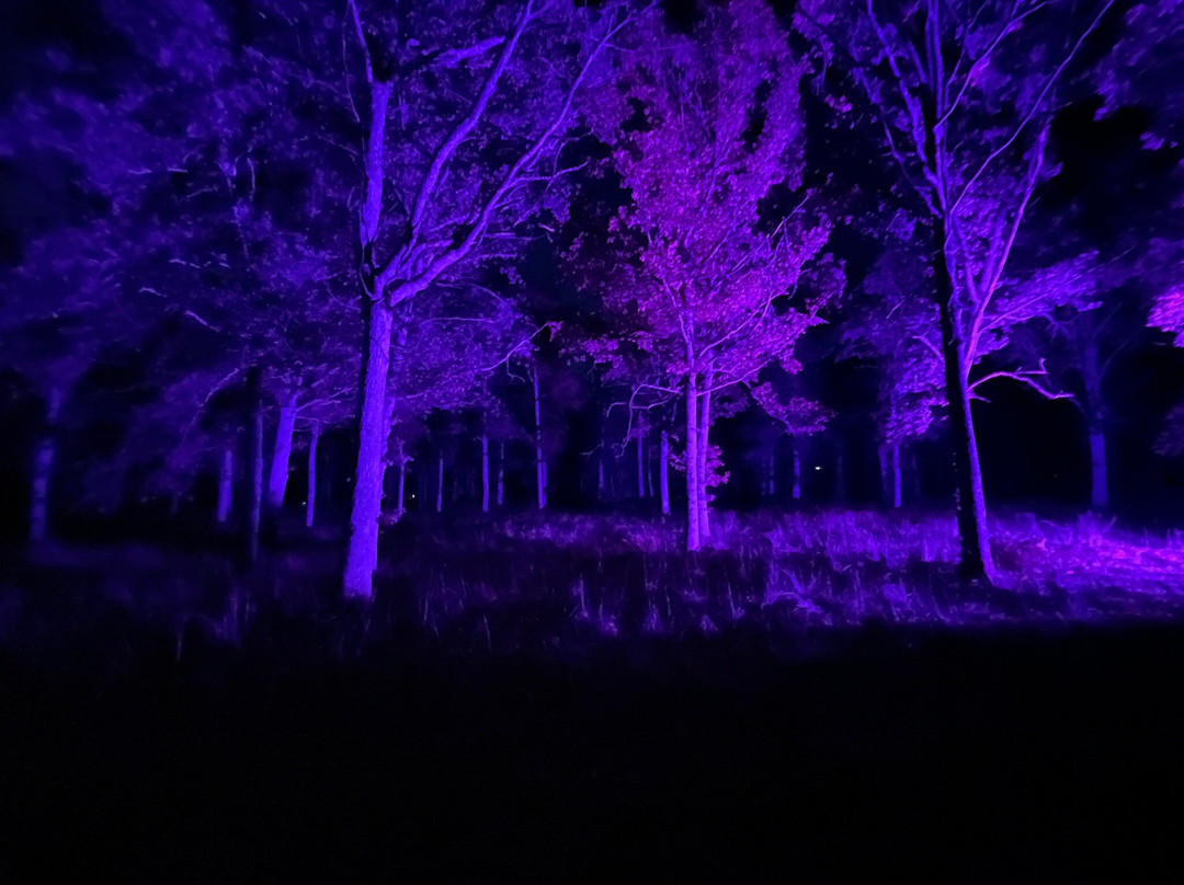 Borrehaugene-Horten必去景点