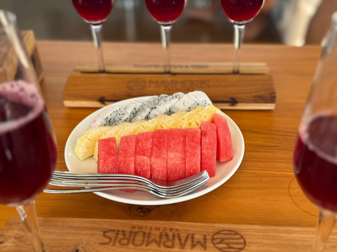 Amega Tour and general trading company limited-河内必去景点