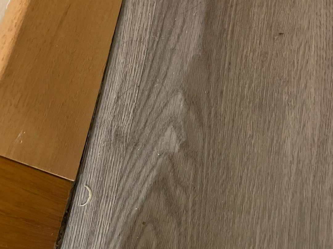 Hotel CastelMartini主图