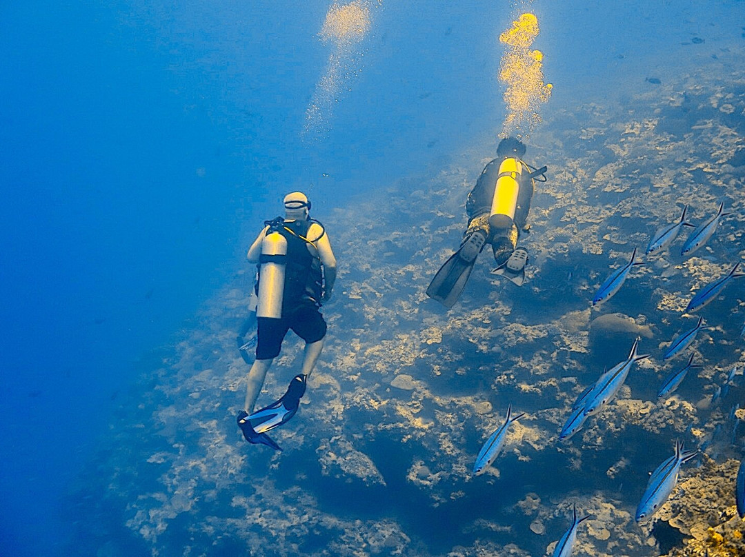 Nukubati Great Sea Reef主图